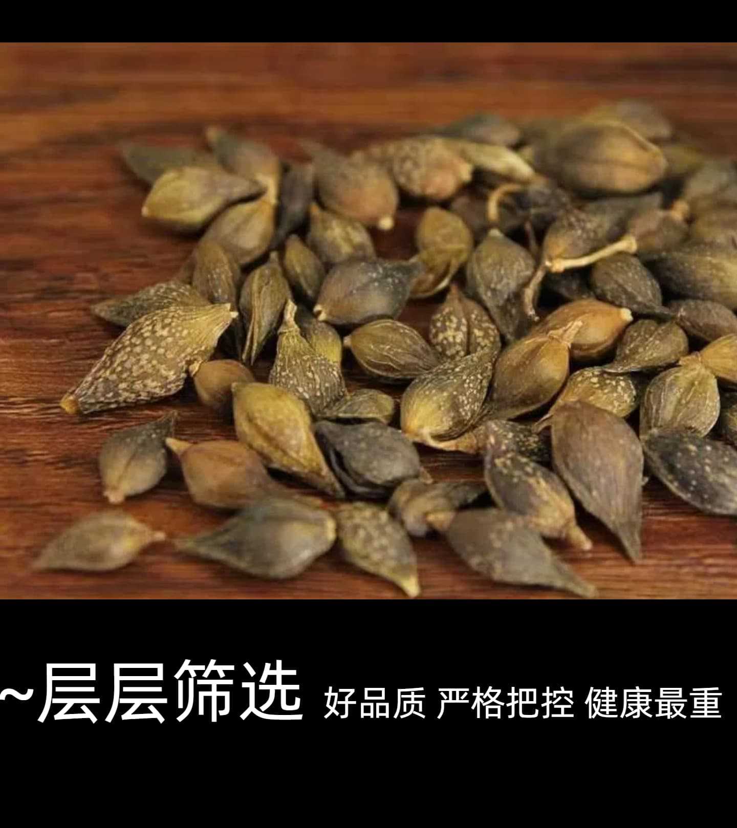 Dried Forsythia Fruit Lian Qiao 500g Natural Sulfur-Free Qing Qiao Bulk Herbal Tea Ingredient specifications