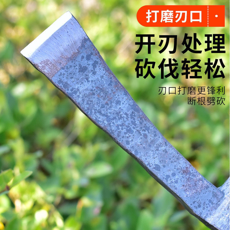 微信图片_202401060111551