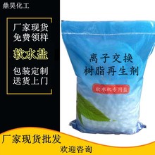 山东批发现货工业盐软水盐20kg 离子交换树脂再生剂球状7647-14-5