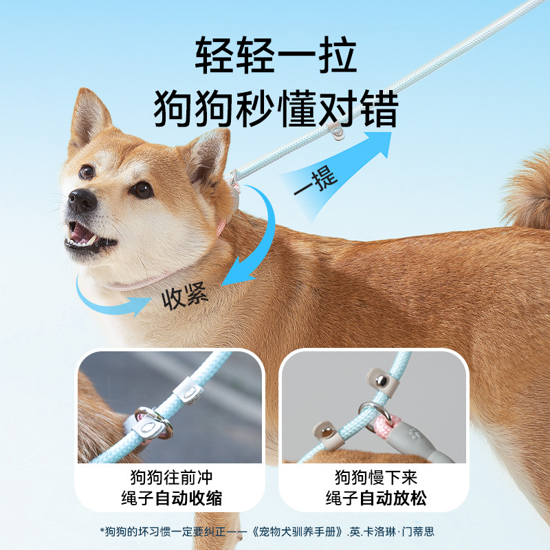 cuerda de tracción de perros sueños gradiente desvanecimiento P cuerda explosión cadena de entrenamiento de perros cuerda de tracción de perros de tamaño medio cuerda de perros