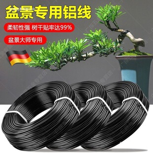 �B���辰�����X�z���È@ˇ�F�z�X��������ͻ���ֲ���������Խz��