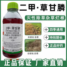 ����2�ײݸ�좳��ݠ����� ���@�ĵ��s���B�����s�ݳ��݄���Ʒ�rș