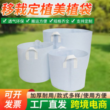 ��ɫ�o������������l��ֲ���Ӻ�������@ˇ�Nֲ���ɽ��������