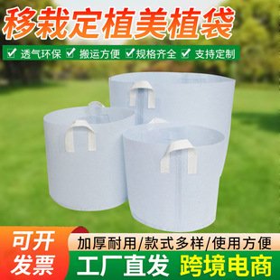 ��ɫ�o������������l��ֲ���Ӻ�������@ˇ�Nֲ���ɽ��������