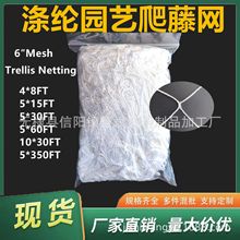 ��ɫ��]���پW���ξW��W �Nֲ���Trellis Nettin�@ˇ�W����