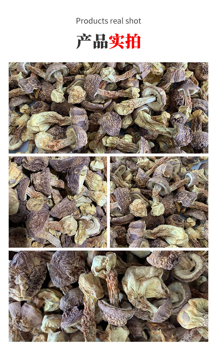 姬松茸干货详情页zz_05.jpg