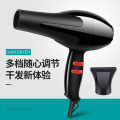 クロスボーダーヘアサロン家庭用ハイパワー冷熱風ヘアドライヤーヘアサロン大出力ブルーライト電気ブロー学生寮