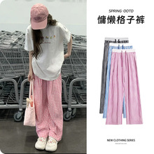 �۰�ײɫ����ѝŮ2026�¿��@�݌��ɳ��K���eins�L���������ϵ�ѝ