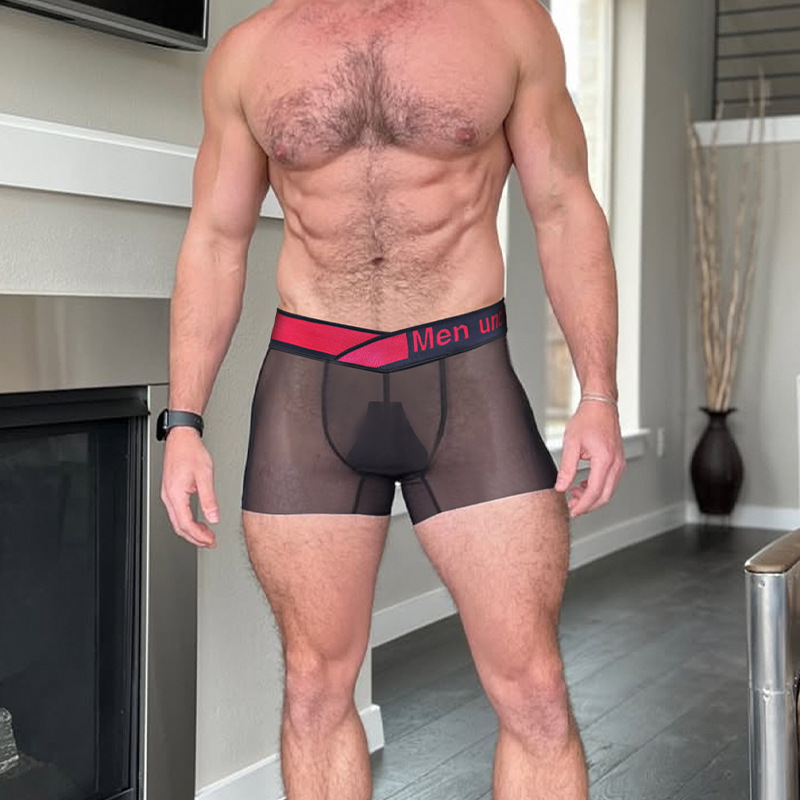 Light and soft micro-elastic skin-friendly nylon sexy arm lift men's transparent trendy low waist boxer pants MP2807