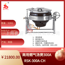 ȼ������RSK-300A���ڿ���ʽ����������ը�Զ��������ȼ������