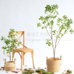 新商品の馬酔木の装飾木は緑の植造景をシミュレーションして室内の軟装の店の入り口の置物の木を組み合わせます。