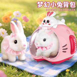 ��ͯ늄�С����ë�q��ߌ��������﹫�Е��ߕ���؈��Ů���Y��