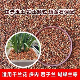 �m���¿����ʯ�o�oʿ�����w����ʯ���m��ֲ��ʯ�m��