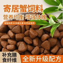 ľзZIBZߵ׸}͑Ƥ^pзͨàIB