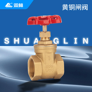 �S��ֱ�N �S�~�l�y�����ݼy NPT�l�y���N�������F؛