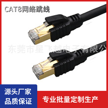 ���ٰ�W��CAT8��p�����~�p�g�����Α�늸�����40Gbps�W�j����