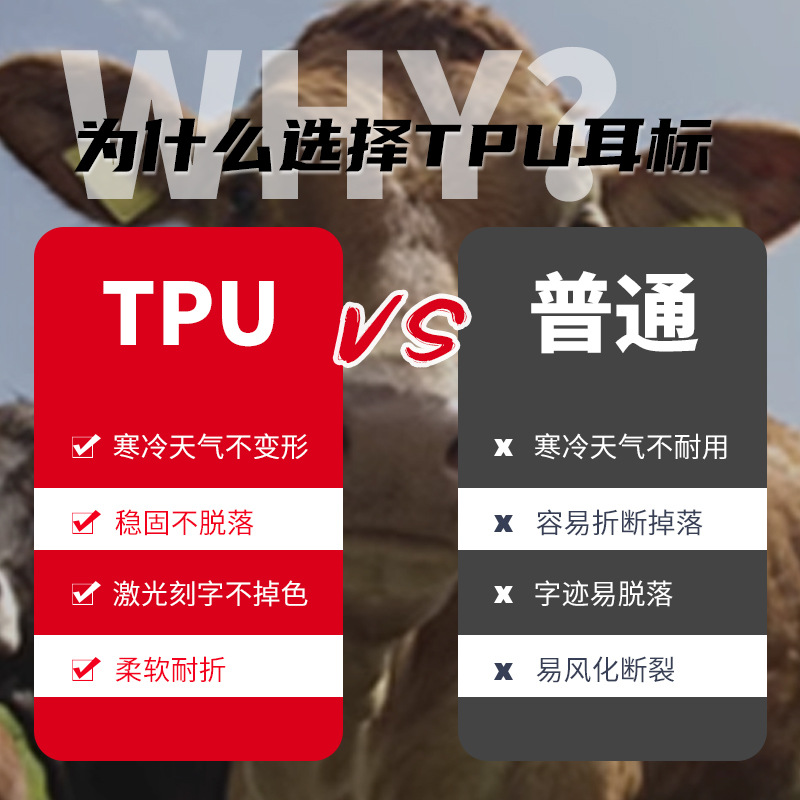 Signo de oreja de ganado Material de TPU Etiqueta de oreja signo número Etiqueta de oreja anticongelante suave no fácil de caer Etiqueta de oreja Noreste