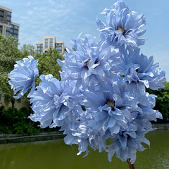 仿真7頭3頭紫蘭花 婚禮堂布景假花路引花排插花攝影花藝道具批發