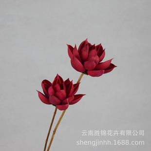 ���G�� ��ϸɻ����l�ɻ� �Ĕz���߶U��ľɏ��