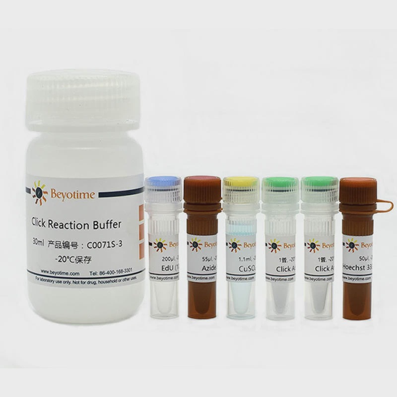 C0071S-50-500次 BeyoClick™ EdU-488细胞增殖检测试剂盒