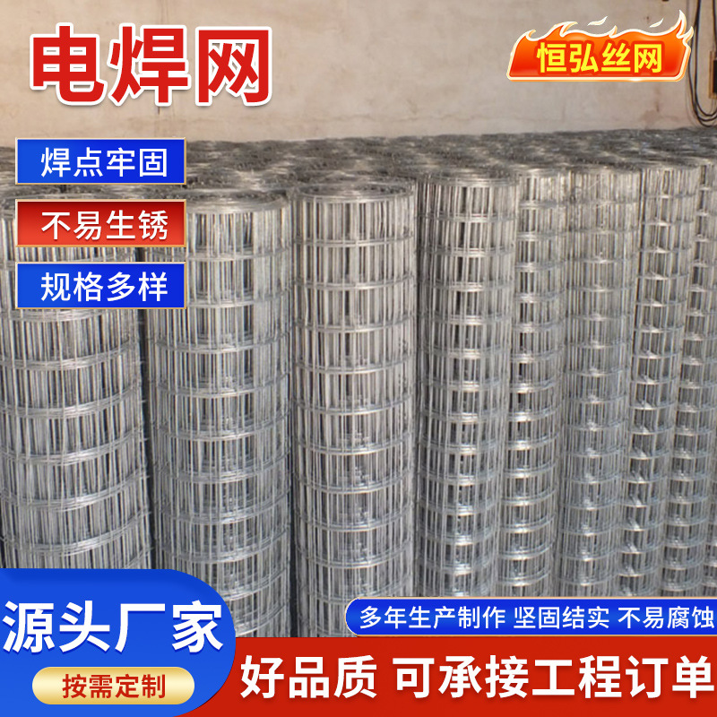 热镀电焊网焊接钢丝建筑工地内外墙面抹灰网镀锌网镀锌铁丝网