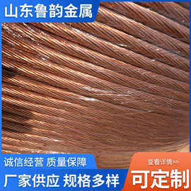 连铸铜包钢绞线接地极软铜绞线接地防雷铜覆钢绞线多股镀铜