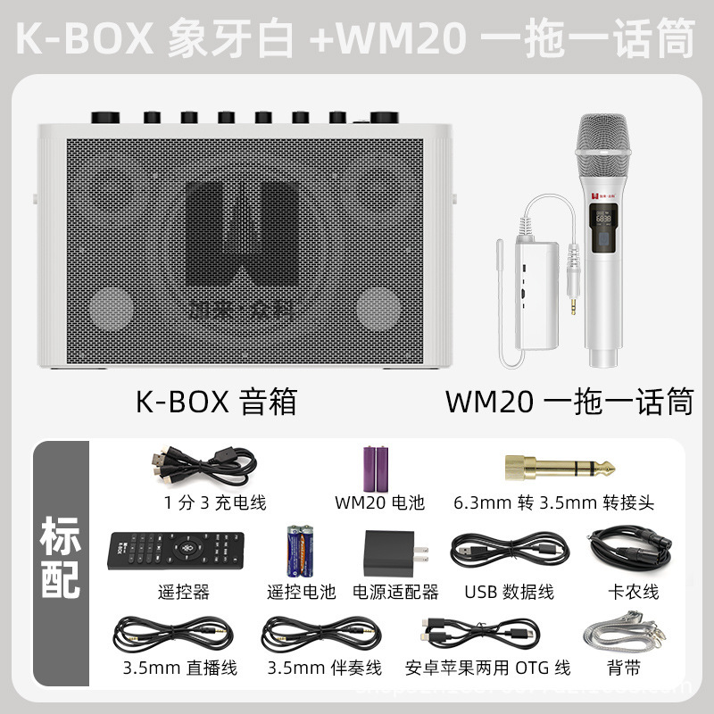 みんなの科のK-BOXの屋外でk歌のスピーカーの家庭用の歌のスピーカーのマイクの設備のテレビのbluetoothのスピーカーを生放送します。|undefined