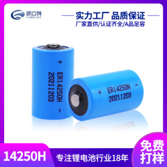 凱立特リチウム亜電池er14250h充電不可リチウム原電池デジタル制御設備電気自動車盗難防止電池