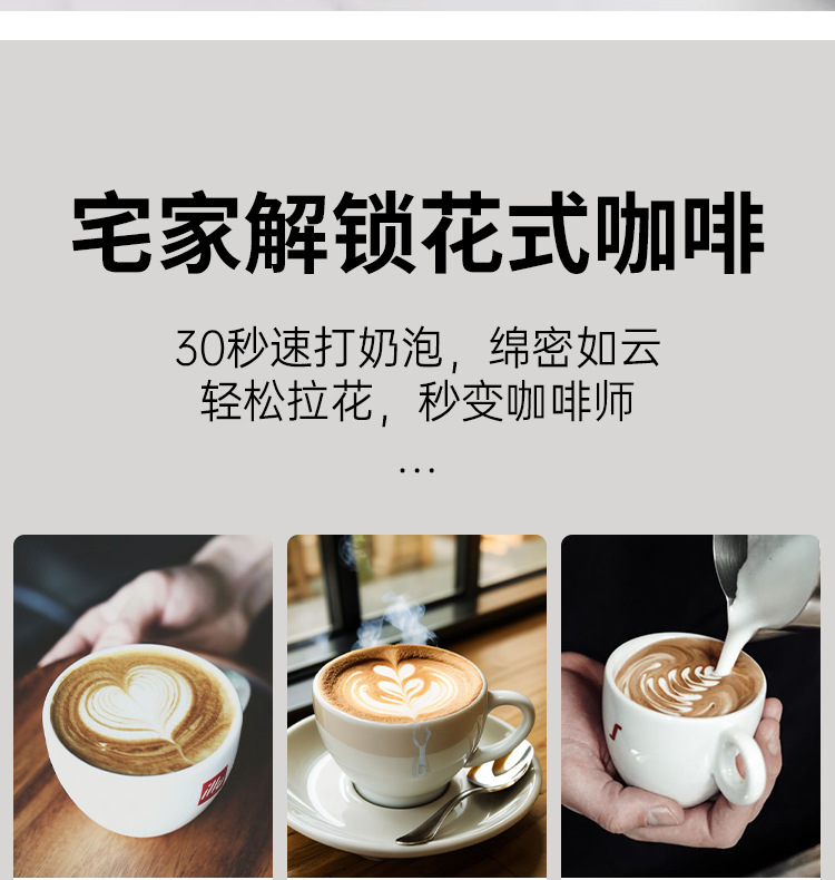 电动奶泡打蛋器Type-C304不锈钢三档动力调节充电式快充手持式