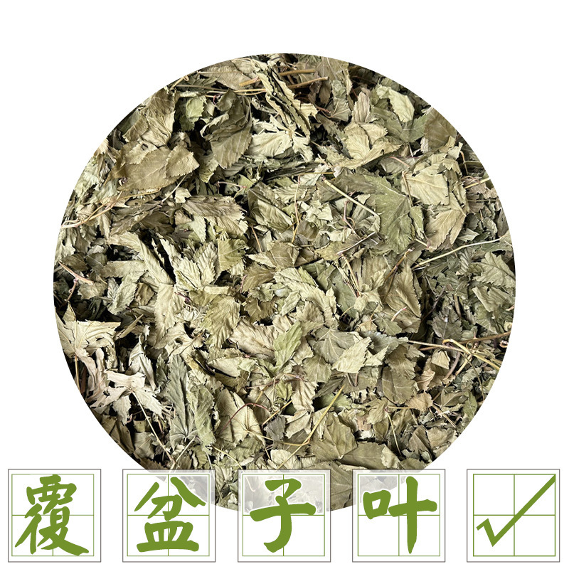 Raspberry Leaf Rubus Chingii Hu. Chinese Medicinal Herb Palm-Leaf Raspberry. East China Raspberry Leaf Raspberry Leaf Rubus Chingii Hu. Chinese Medicinal Herb Palm-Leaf Raspberry. East China Raspberry Leaf