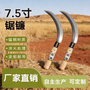 砵�7.5���i���X砷����r��FUNGCROCODILE�h��������z�^
