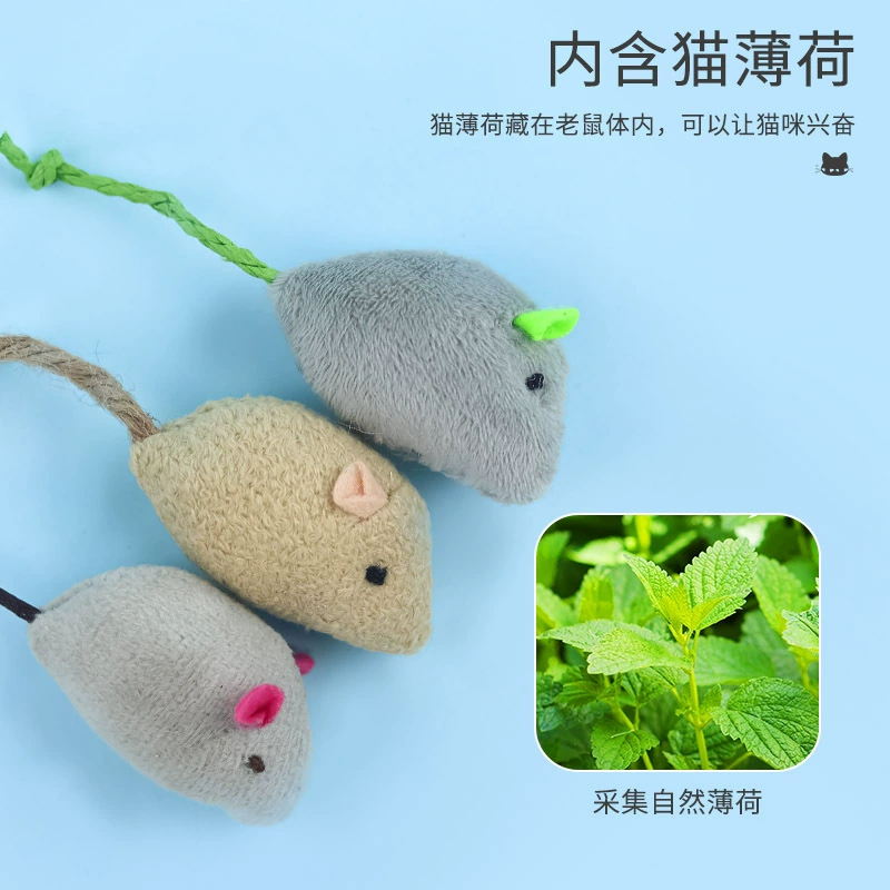 Mint plush toy, cat