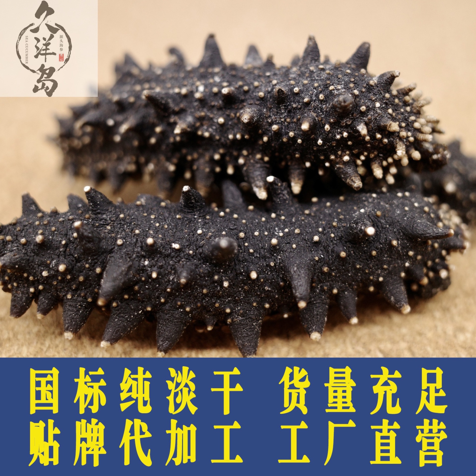 【海参店】大连淡批干批发一斤装50g营养即食淡干大连海参