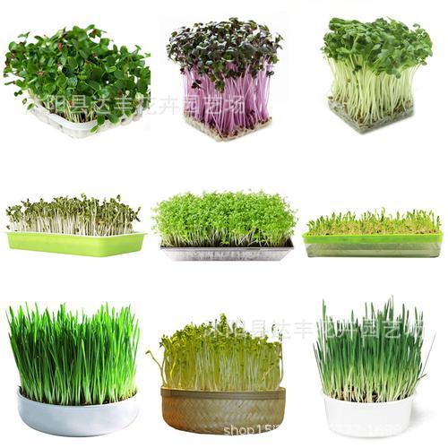 fa962addf4f7aad42971bd231b16f6