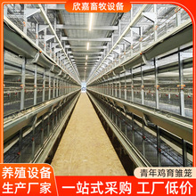 现代化养殖场自动化农村大棚养鸡设备多层立式青年鸡育雏笼厂家