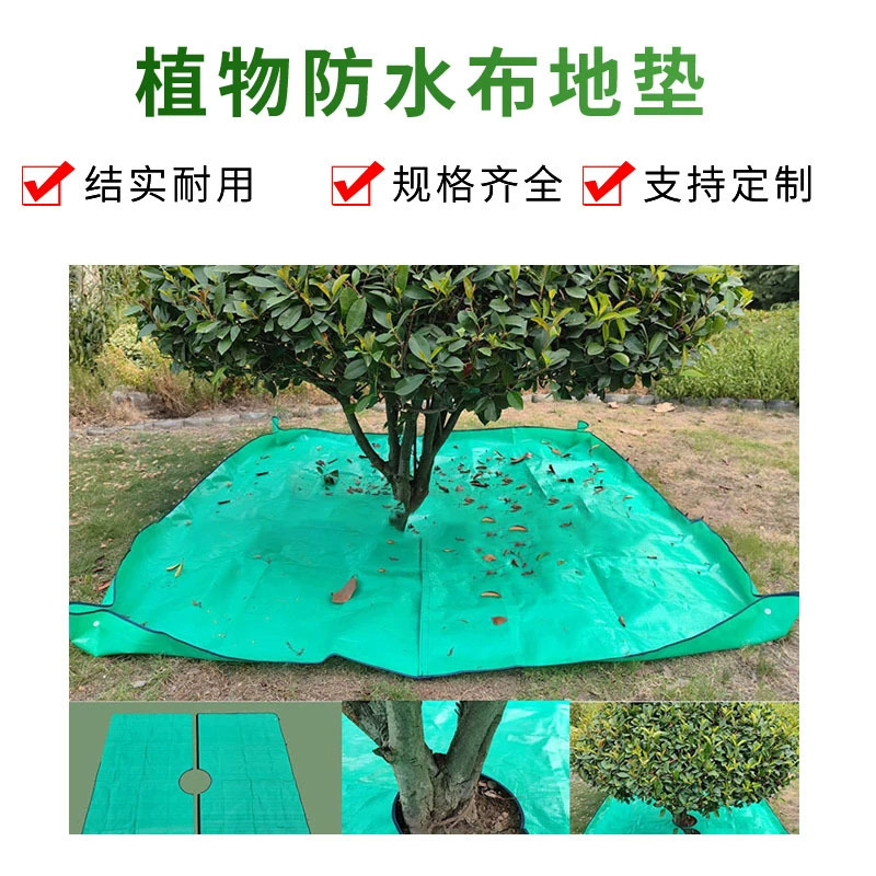 Растения Кусты обрезка напоя обрезка ландшафта обрезка водонепроницаемая ткань ландшафтная обрезка грунтовка водонепроницаемый коврик