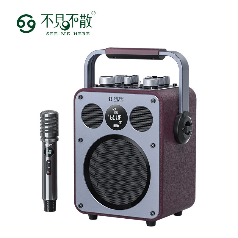不见不散流浪者D5户外K歌音响超重低音炮手提便携式麦克风音响一