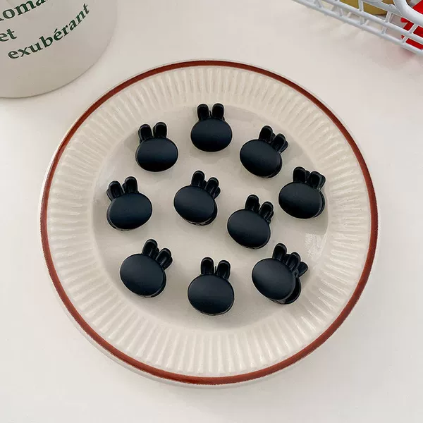 1 black rabbit