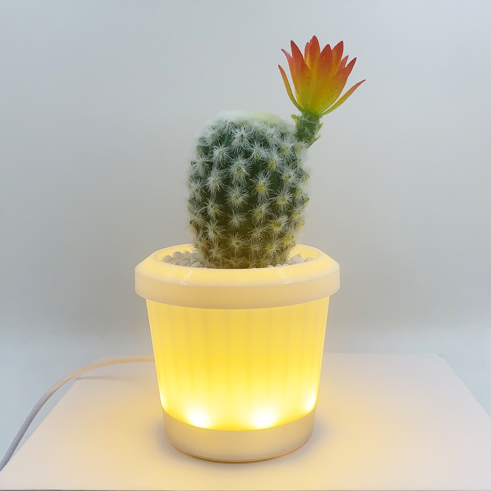 亞馬遜新品私模臥室小夜燈禮品創(chuàng)意盆栽燈多肉綠植客廳裝飾小臺燈
