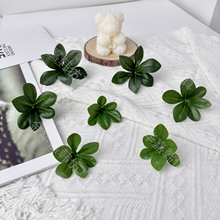 ������R���~ diy�ٻ��Gֲ�쾰��Ƭ��������zӰ��ˇ�[�� ���N�~