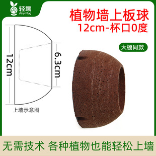 �p��12cm 0���ϰ���ֲ��o������¹��ާ���ʰ�ֲ���ֲ���ͻ��|