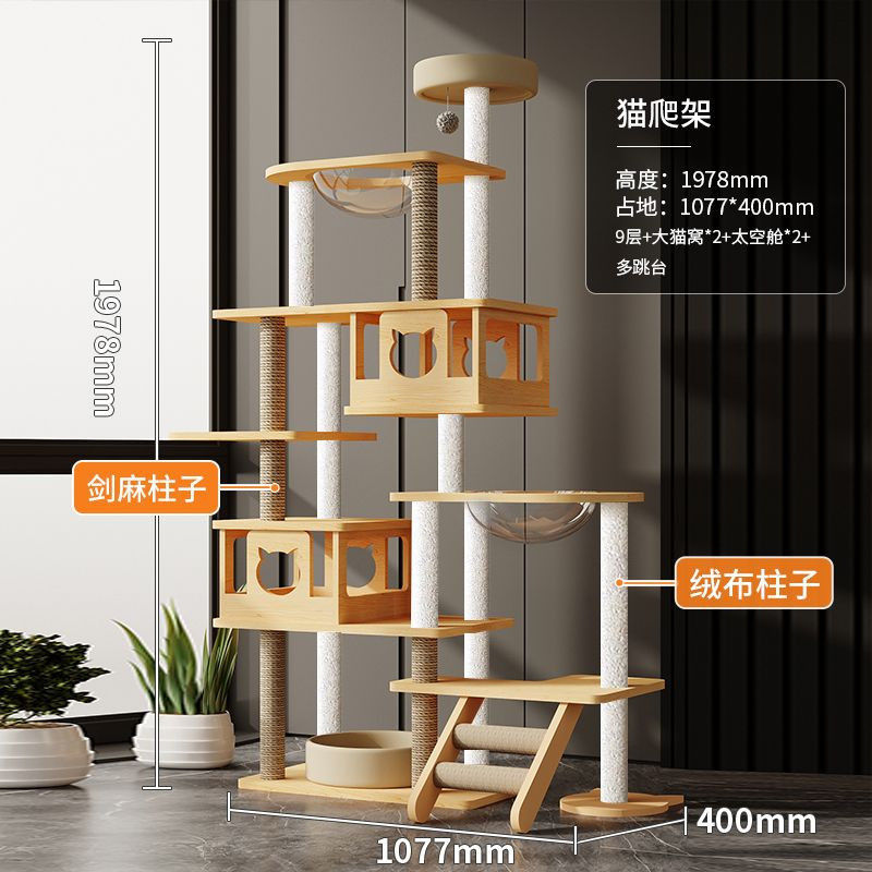 고양이 카니발--E8 (플란넬)