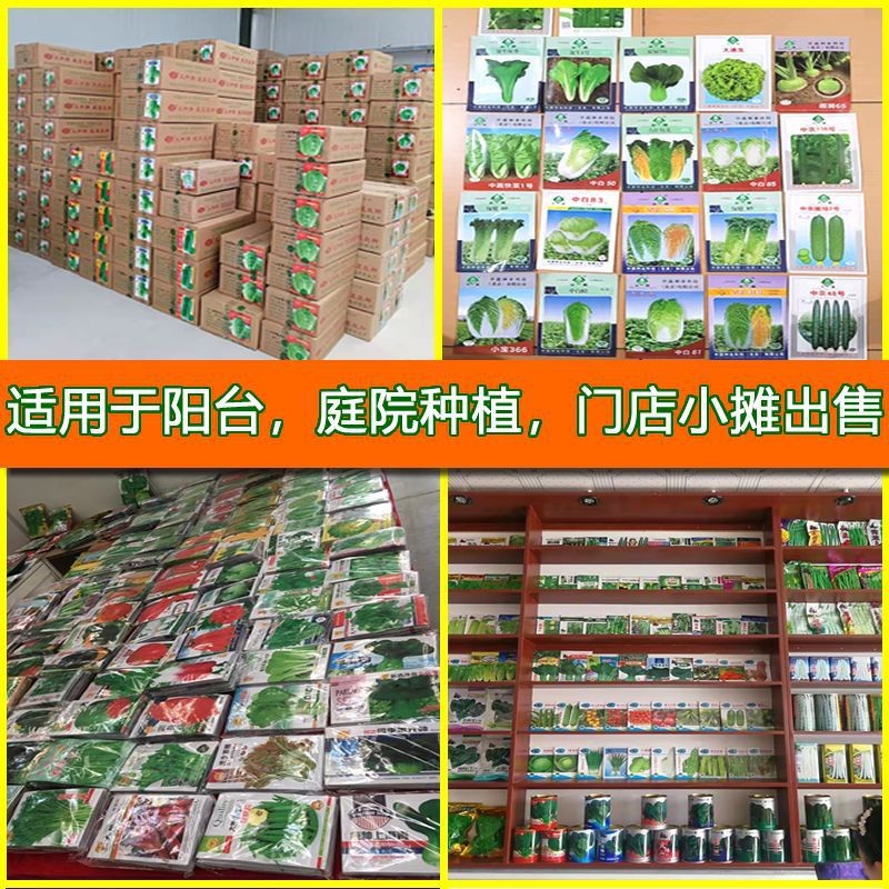 O1CN01izRd1O1tBlFUzPlt1_!!2212