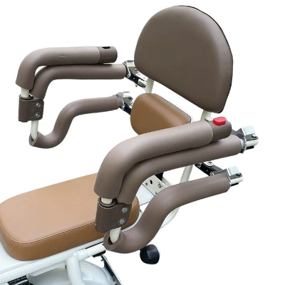 Electric car child seat: with Rear Armrest and