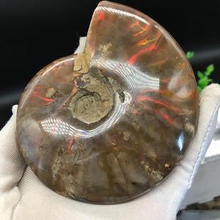 ��Ȼ�߲��ݔ[�����ݻ�ʯԭʯ�V��˱�