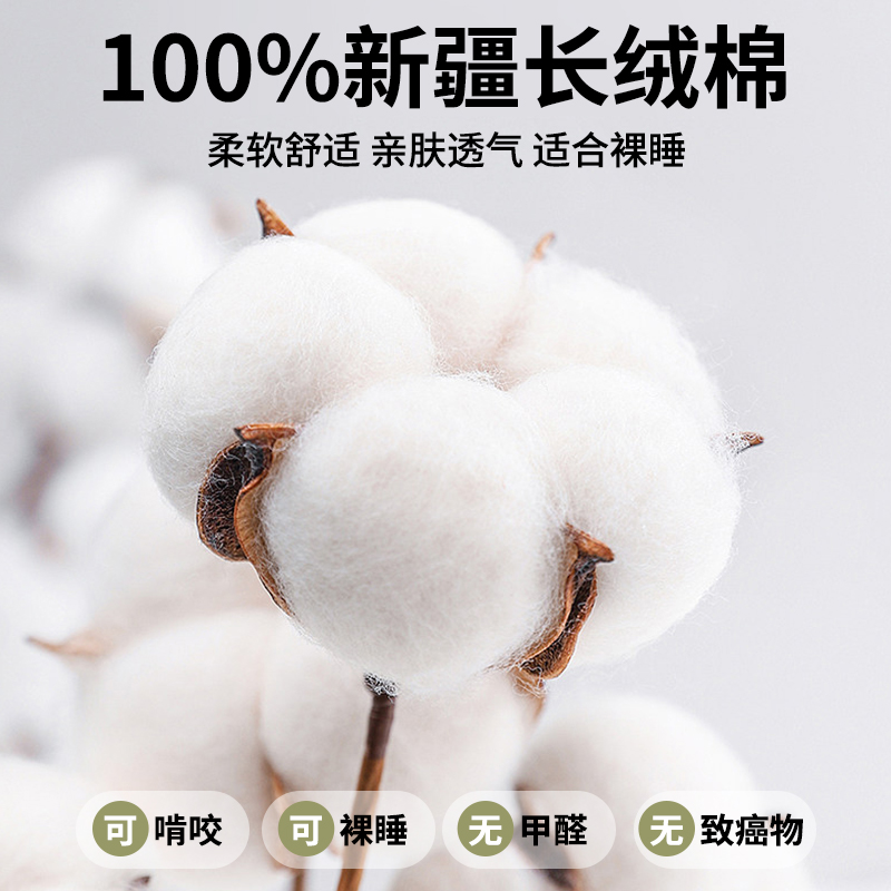 加厚新疆长绒棉床笠罩单件100全棉纯棉床罩席梦思床垫保护罩床套