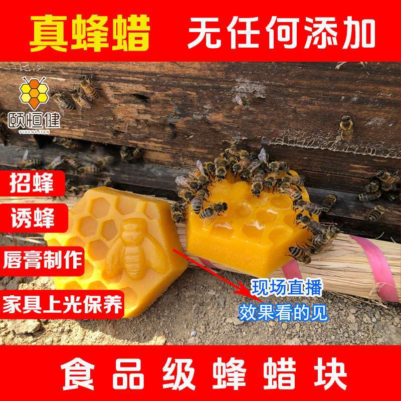 蜂蜡养蜂天然土口红木用唇膏块蜂箱蜜蜂工具蜂蜡食品级