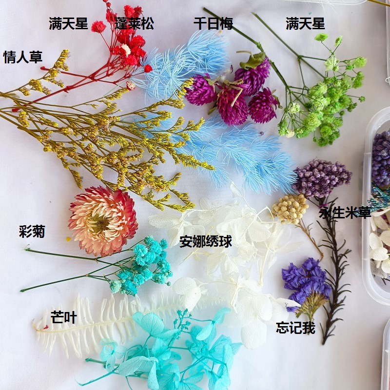 微信图片_202206281617543