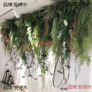 ����Gֲ�ڒ���m�������Gɫֲ��ާ��ڹܵ�����b�ާ�~�ٗl�l