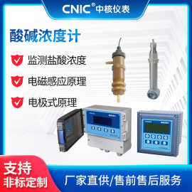 工业污水酸碱浓度计 CN16 在线监测仪表 盐酸浓度分析仪